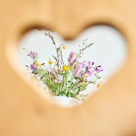 Bergblick By Alpenglueck * Leutasch